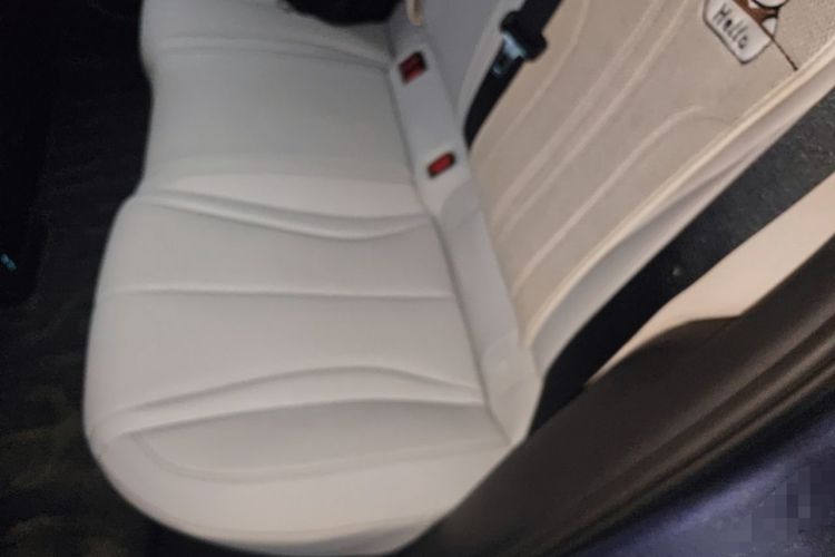 Used BYD Seal 06 New Energy 2024 DM-i 120KM Prestige Model Left Rear Seat