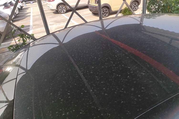 Used BYD Seal 06 New Energy 2024 DM-i 80KM Prestige Model Roof