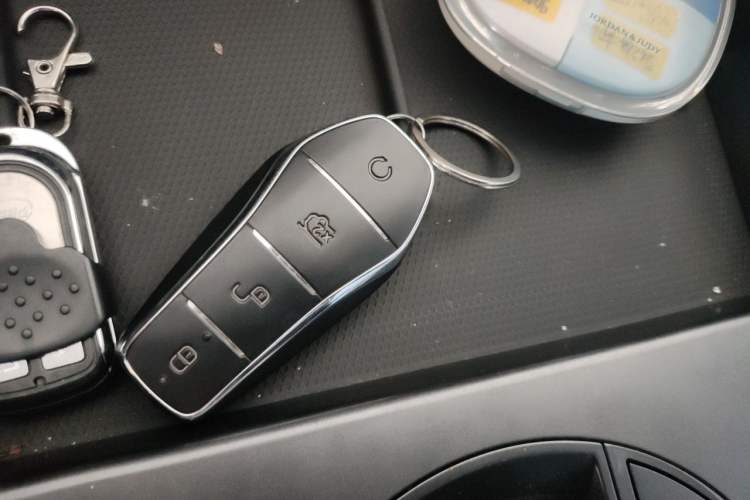 Used BYD Seal 06 New Energy 2024 DM-i 80KM Luxury Model Vehicle Key