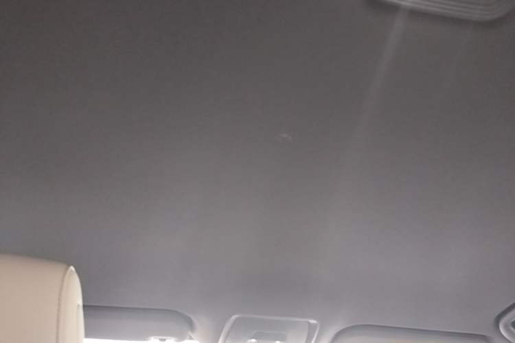 Used BYD Seal 06 New Energy 2024 DM-i 80KM Luxury Model Headliner
