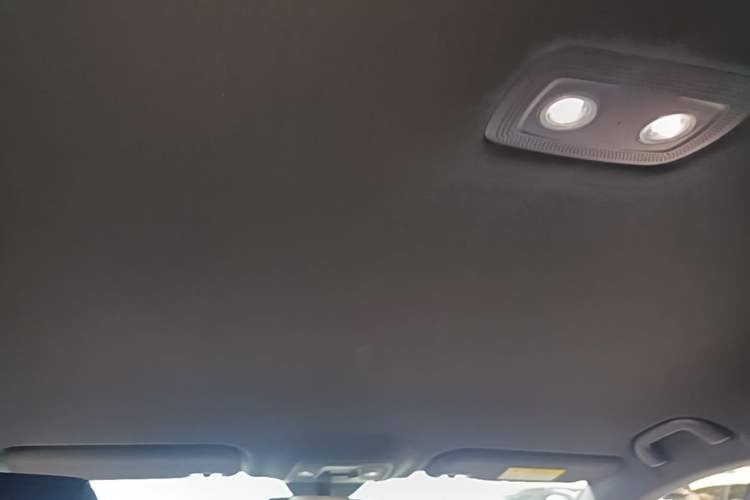 Used BYD Seal 06 New Energy 2024 DM-i 80KM Prestige Model Headliner