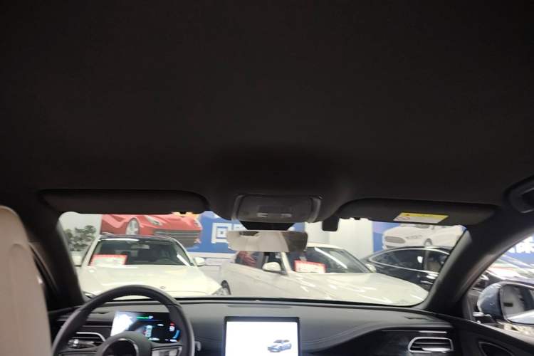 Used BYD Seal 06 New Energy 2024 DM-i 80KM Luxury Model Headliner