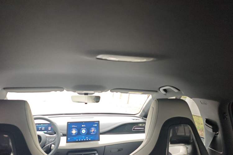 Used BYD Seal 06 New Energy 2024 DM-i 80KM Prestige Model Headliner
