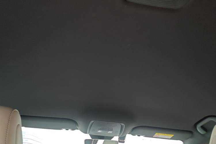 Used BYD Seal 06 New Energy 2024 DM-i 80KM Luxury Model Headliner