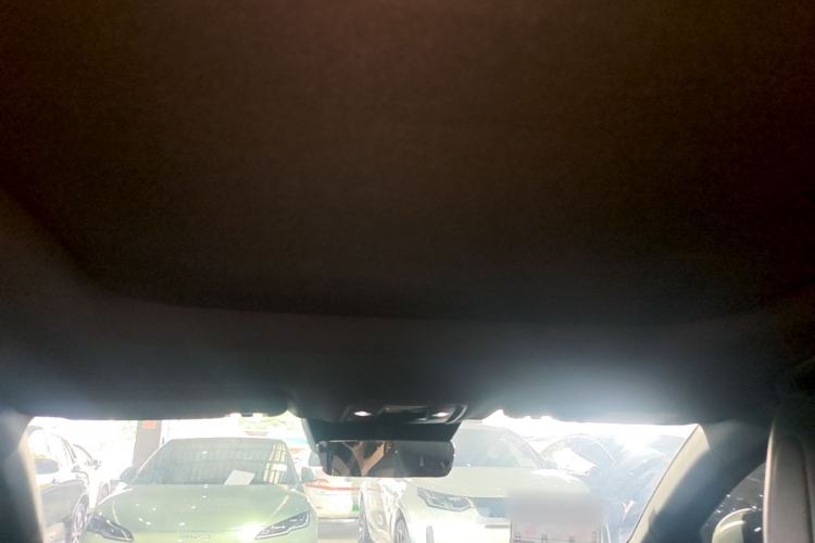 Used BYD Seal 06 New Energy 2024 DM-i 120KM Luxury Model Headliner