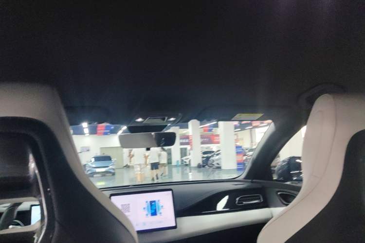 Used BYD Seal 06 New Energy 2024 DM-i 80KM Prestige Model Headliner