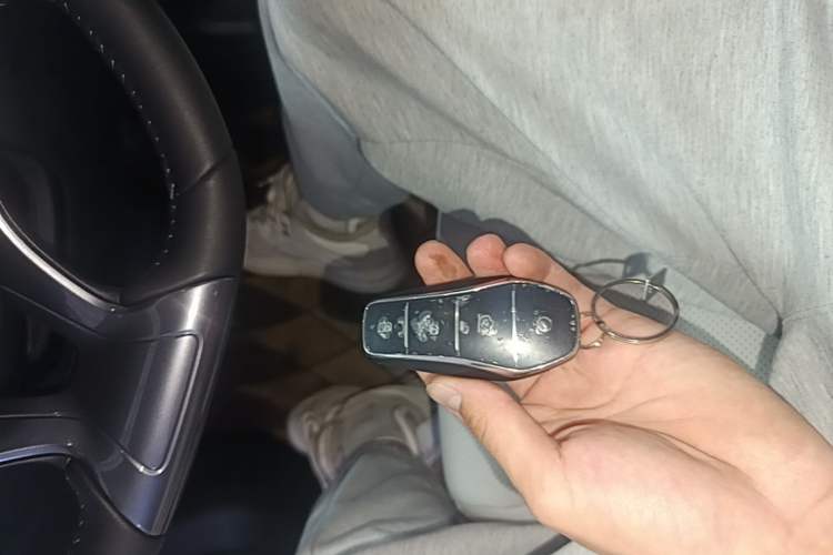 Used BYD Seal 06 New Energy 2024 DM-i 80KM Luxury Model Vehicle Key
