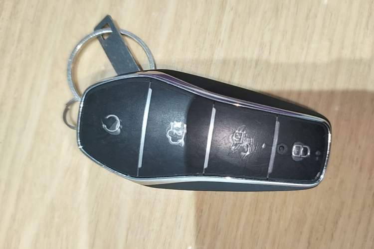 Used BYD Seal 06 New Energy 2024 DM-i 80KM Luxury Model Vehicle Key