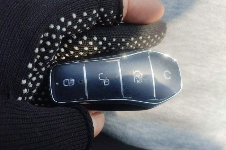 Used BYD Seal 06 New Energy 2024 DM-i 80KM Prestige Model Vehicle Key