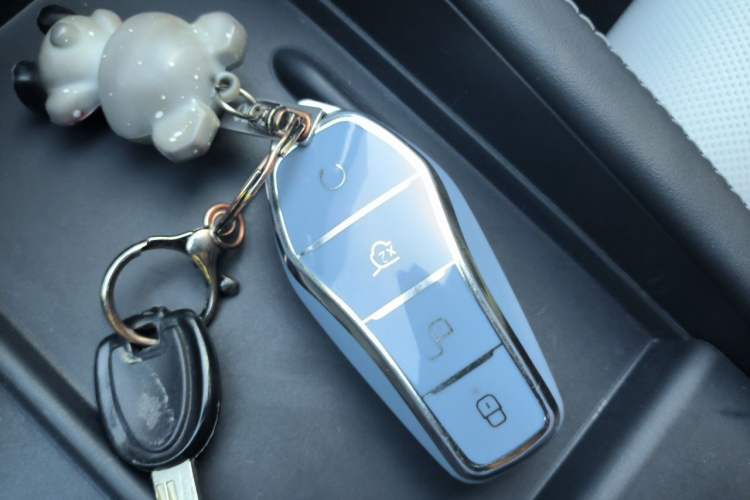Used BYD Seal 06 New Energy 2024 DM-i 120KM Prestige Model Vehicle Key