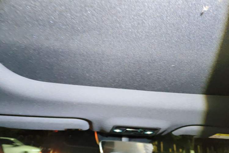 Used BYD Seal 06 New Energy 2024 DM-i 120KM Luxury Model Headliner