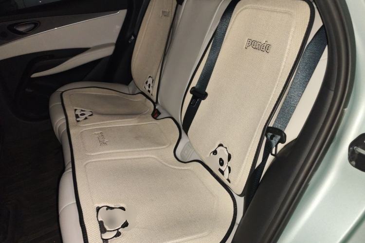 Used BYD Seal 06 New Energy 2024 DM-i 80KM Luxury Model Left Rear Seat