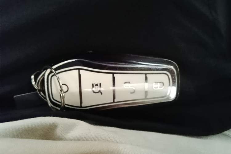 Used BYD Seal 06 New Energy 2024 DM-i 120KM Prestige Model Vehicle Key