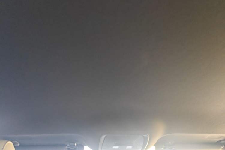 Used BYD Seal 06 New Energy 2024 DM-i 80KM Luxury Model Headliner