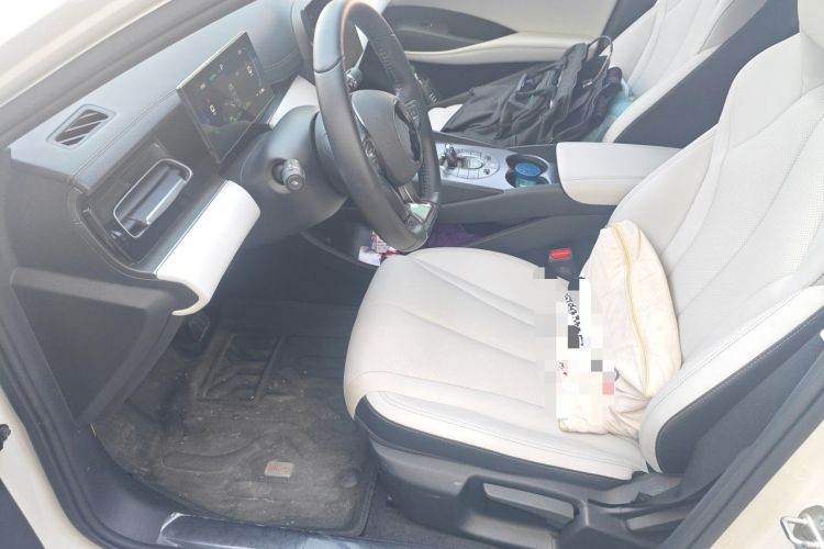 Used BYD Seal 06 New Energy 2024 DM-i 80KM Luxury Model Left Front Seat