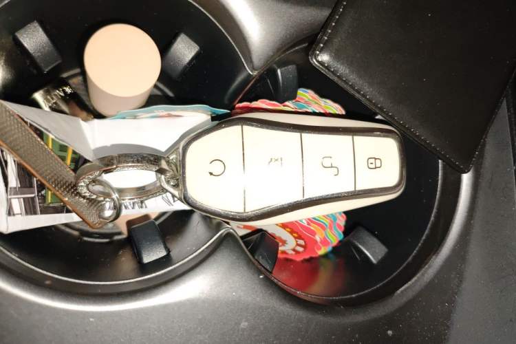 Used BYD Seal 06 New Energy 2024 DM-i 80KM Luxury Model Vehicle Key