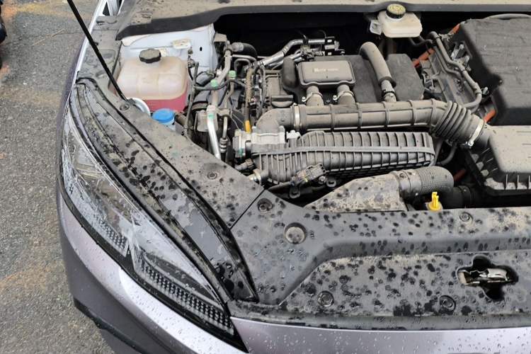 Used BYD Seal 06 New Energy 2024 DM-i 120KM Luxury Model Engine Bay Right