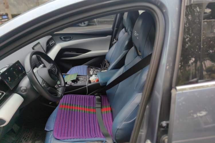 Used BYD Seal 06 New Energy 2024 DM-i 80KM Luxury Model Left Front Seat