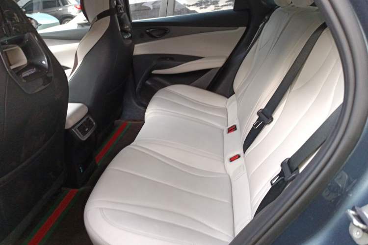 Used BYD Seal 06 New Energy 2024 DM-i 80KM Luxury Model Left Rear Seat