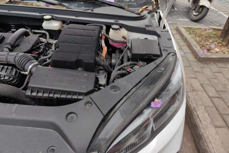 Used BYD Seal 06 New Energy 2024 DM-i 120KM Prestige Model Engine Bay Left
