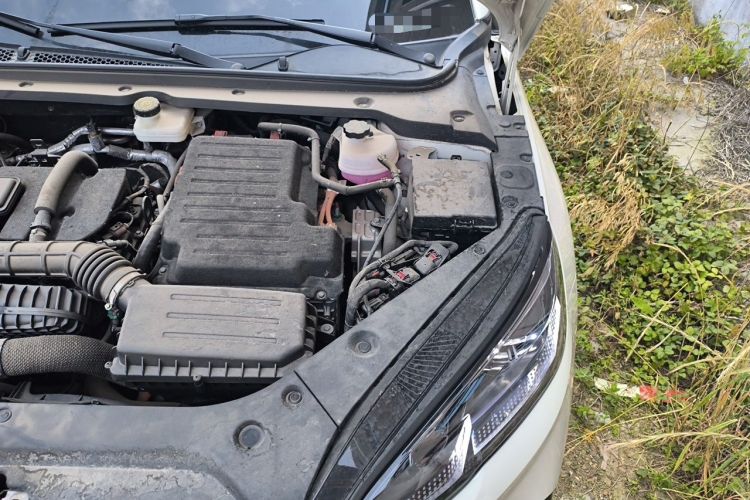 Used BYD Seal 06 New Energy 2024 DM-i 80KM Prestige Model Engine Bay Left