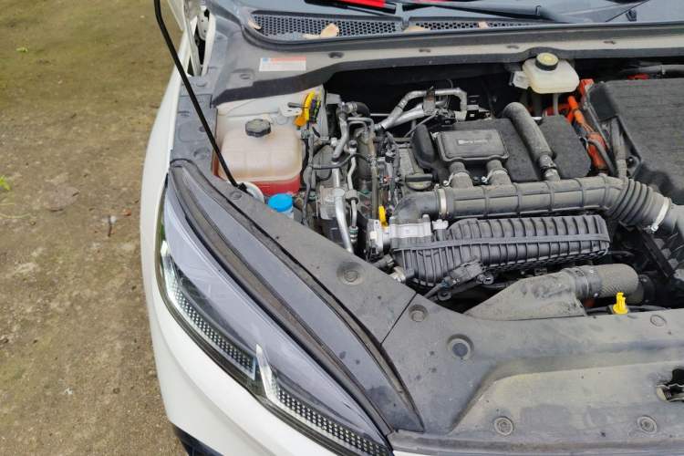 Used BYD Seal 06 New Energy 2024 DM-i 80KM Prestige Model Engine Bay Right