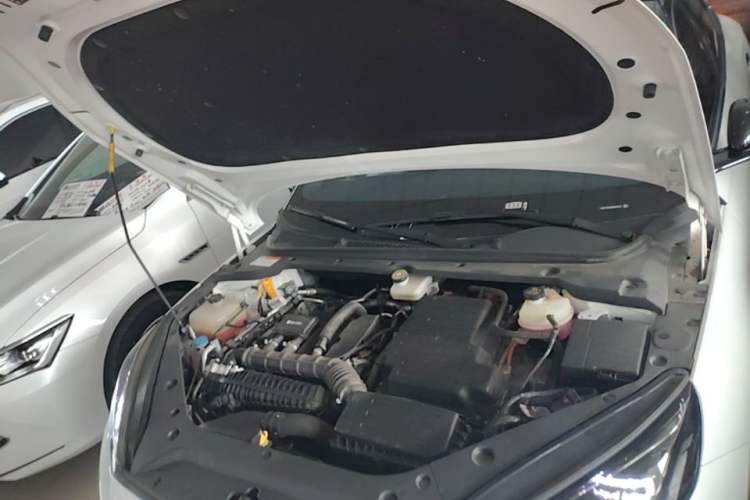 Used BYD Seal 06 New Energy 2024 DM-i 80KM Prestige Model Engine Bay
