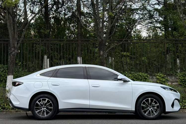 Used BYD Seal 06 New Energy 2024 DM-i 80KM Prestige Model Exterior 10