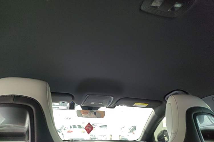 Used BYD Seal 06 New Energy 2024 DM-i 80KM Luxury Model Headliner