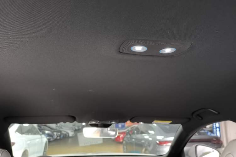 Used BYD Seal 06 New Energy 2024 DM-i 80KM Prestige Model Headliner