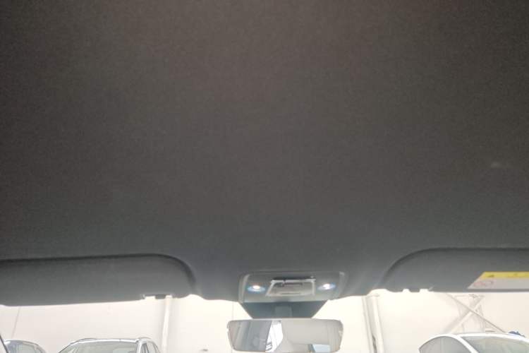 Used BYD Seal 06 New Energy 2024 DM-i 80KM Prestige Model Headliner