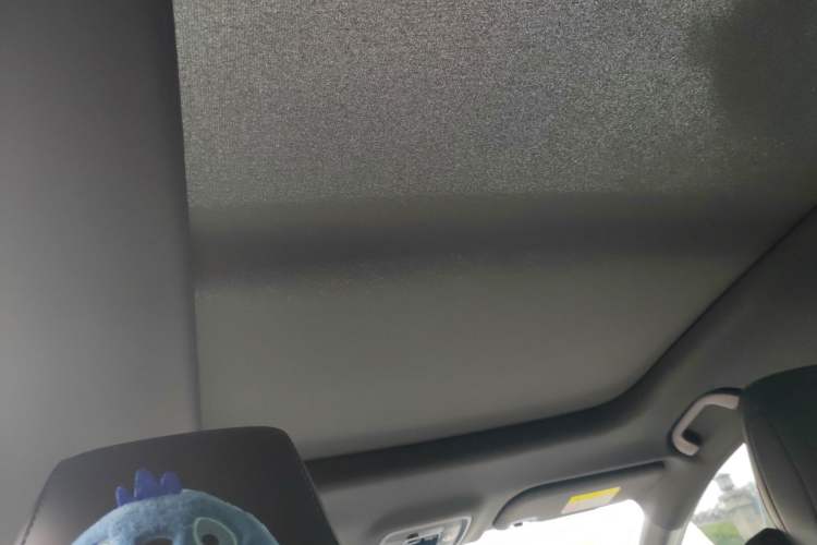 Used BYD Seal 06 New Energy 2024 DM-i 120KM Prestige Model Headliner