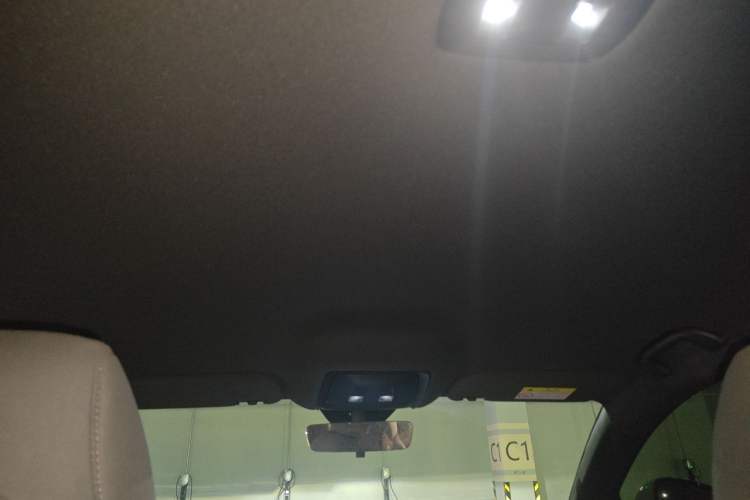 Used BYD Seal 06 New Energy 2024 DM-i 80KM Luxury Model Headliner