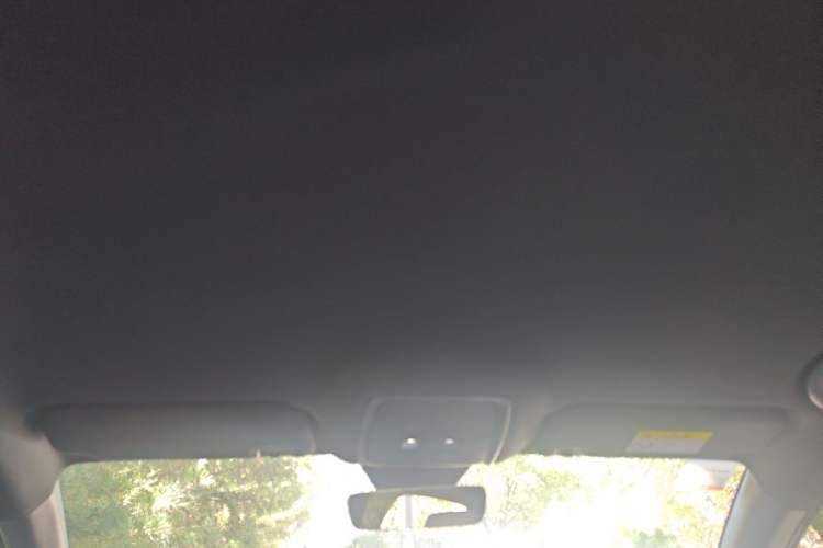Used BYD Seal 06 New Energy 2024 DM-i 80KM Luxury Model Headliner