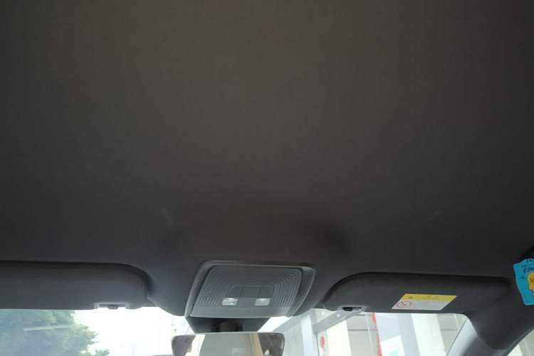 Used BYD Seal 06 New Energy 2024 DM-i 80KM Luxury Model Headliner