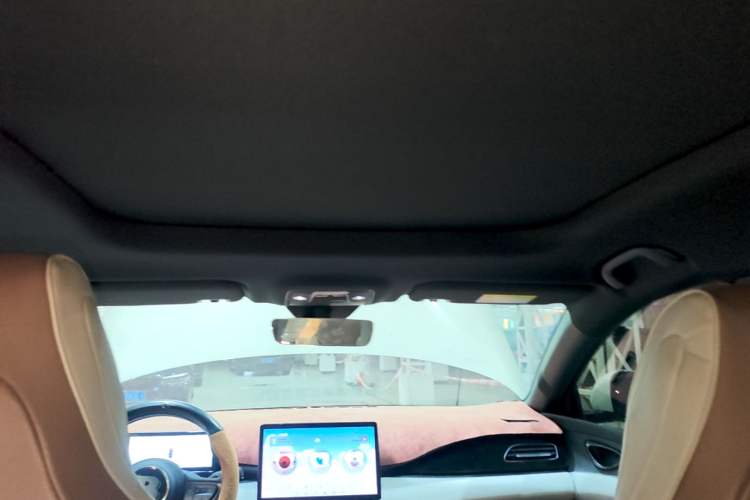 Used BYD Seal 06 New Energy 2024 DM-i 120KM Prestige Model Headliner