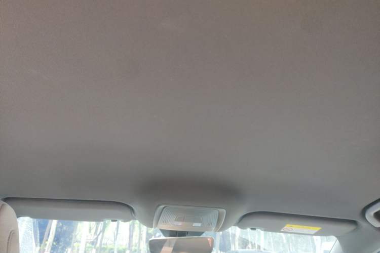 Used BYD Seal 06 New Energy 2024 DM-i 80KM Luxury Model Headliner