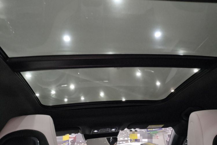 Used BYD Seal 06 New Energy 2024 DM-i 120KM Luxury Model Headliner