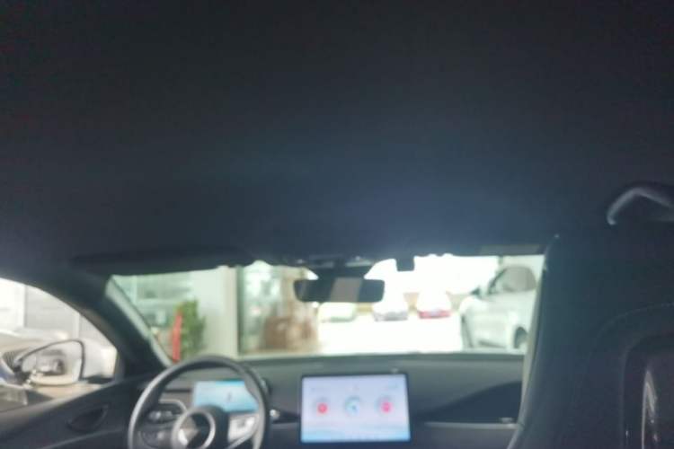 Used BYD Seal 06 New Energy 2024 DM-i 80KM Prestige Model Headliner
