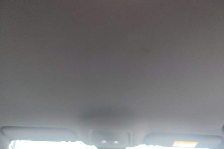 Used BYD Seal 06 New Energy 2024 DM-i 80KM Luxury Model Headliner