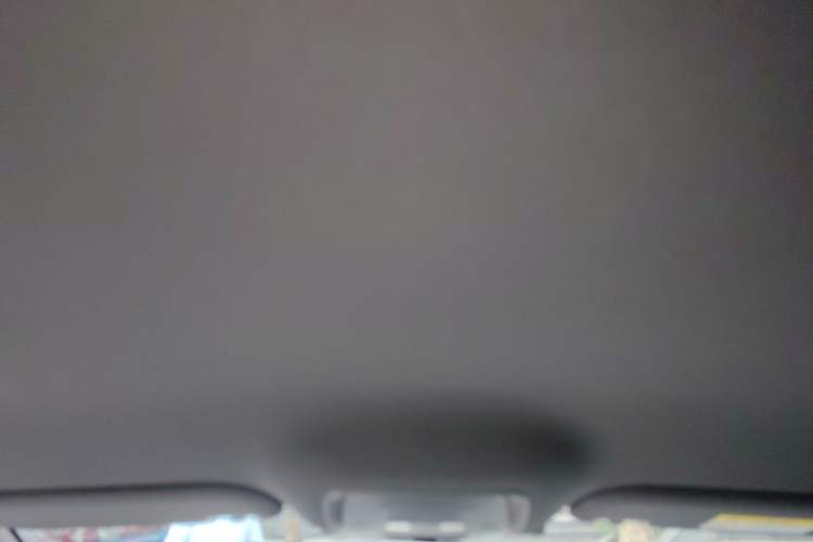 Used BYD Seal 06 New Energy 2024 DM-i 80KM Luxury Model Headliner
