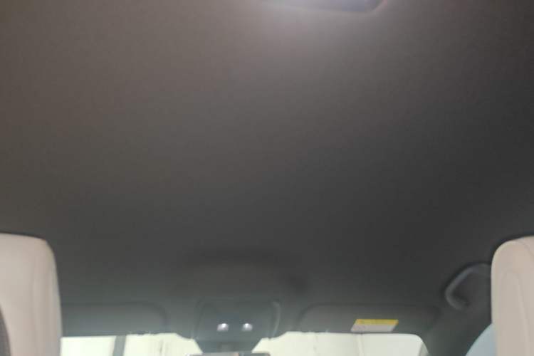 Used BYD Seal 06 New Energy 2024 DM-i 80KM Luxury Model Headliner