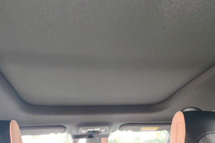 Used BYD Seal 06 New Energy 2024 DM-i 120KM Flagship Model Headliner