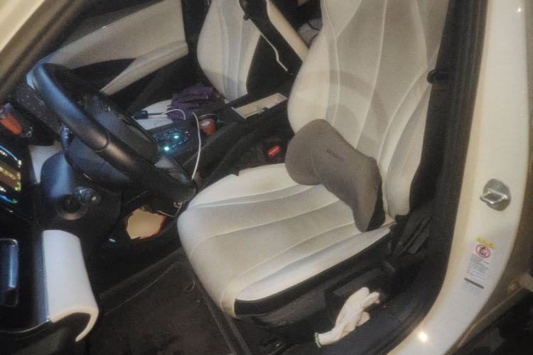 Used BYD Seal 06 New Energy 2024 DM-i 80KM Luxury Model Left Front Seat