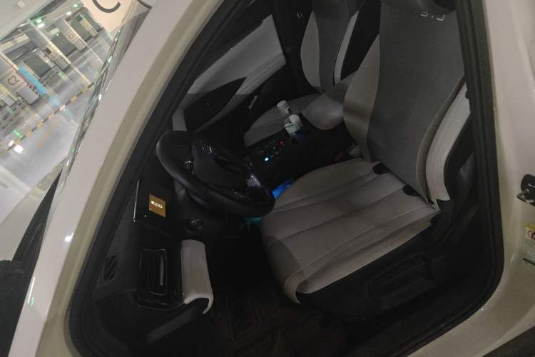 Used BYD Seal 06 New Energy 2024 DM-i 80KM Luxury Model Left Front Seat