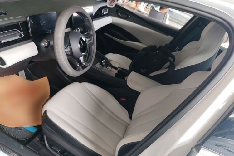 Used BYD Seal 06 New Energy 2024 DM-i 120KM Prestige Model Left Front Seat