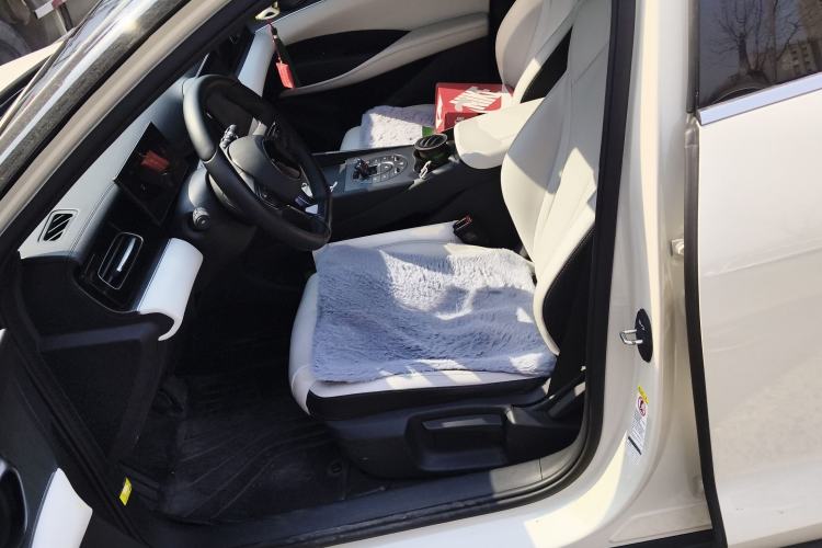 Used BYD Seal 06 New Energy 2024 DM-i 80KM Luxury Model Left Front Seat