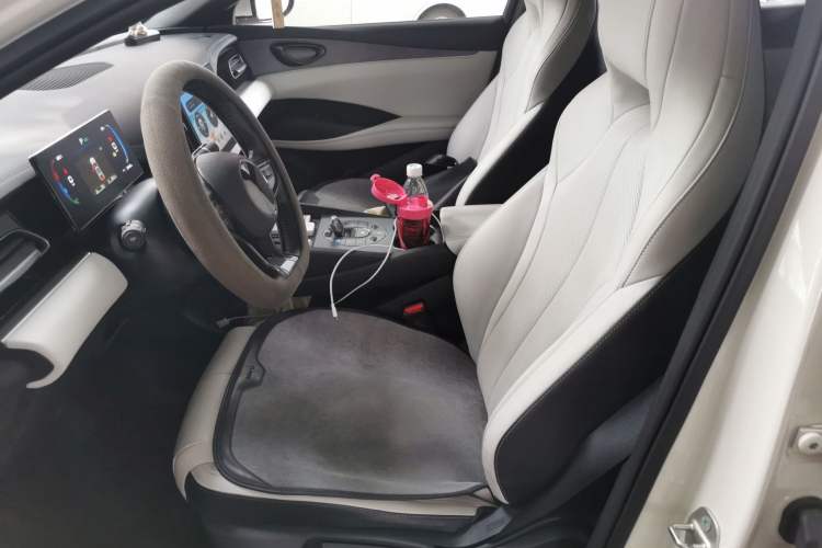 Used BYD Seal 06 New Energy 2024 DM-i 80KM Luxury Model Left Front Seat