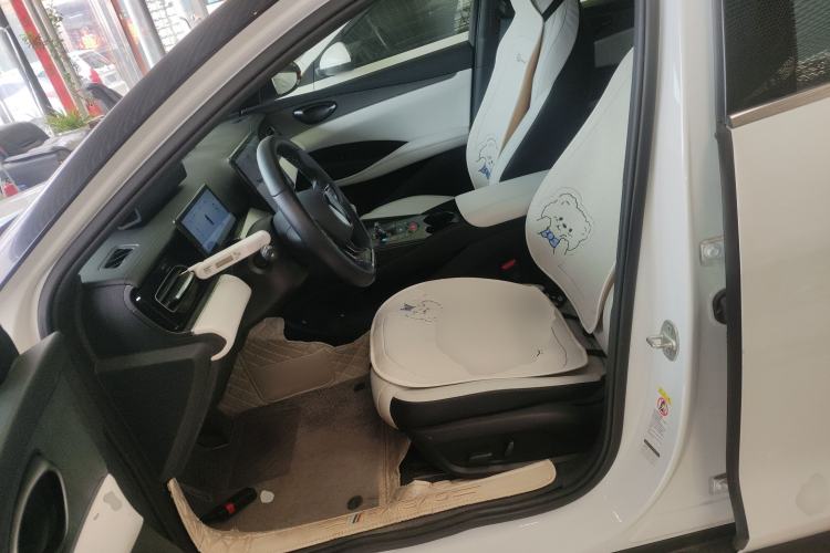 Used BYD Seal 06 New Energy 2024 DM-i 80KM Prestige Model Left Front Seat