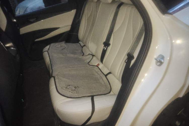 Used BYD Seal 06 New Energy 2024 DM-i 80KM Luxury Model Left Rear Seat